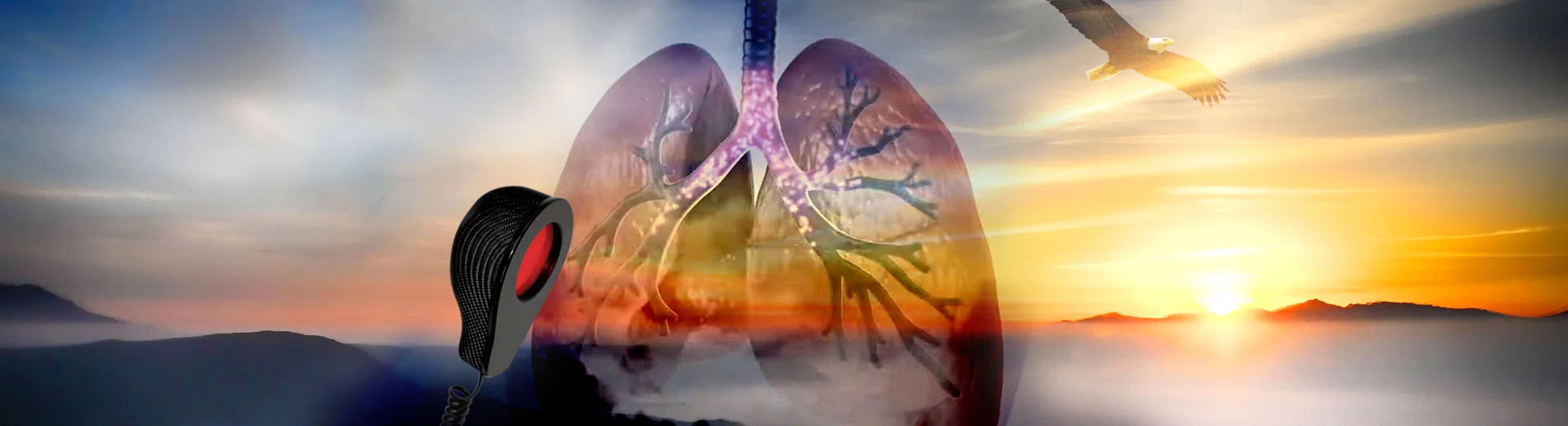 COPD - Ein kräftezehrender Kampf gegen die Atemnot, Selbstheilung, Regeneration, Atmen