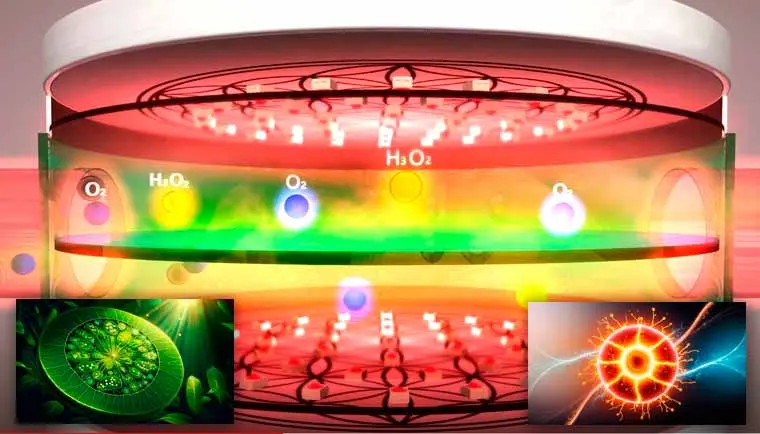 Wie Airnergy die Vitalkapazität steigert, Selbstheilung, Regeneration, Atmen