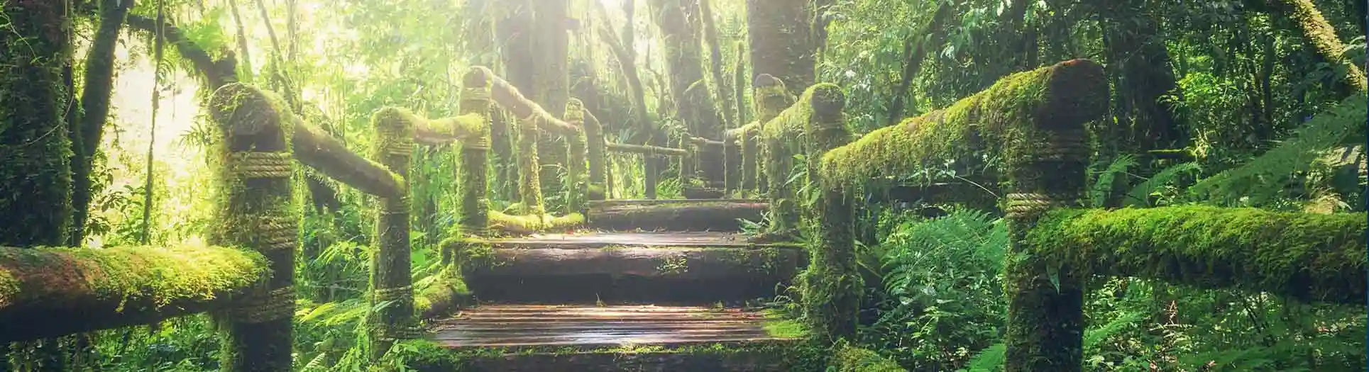 Long Covid Problematik eigenverantwortlicher Umgang mit Lösungen, Selbstheilung, Regeneration, Atmen