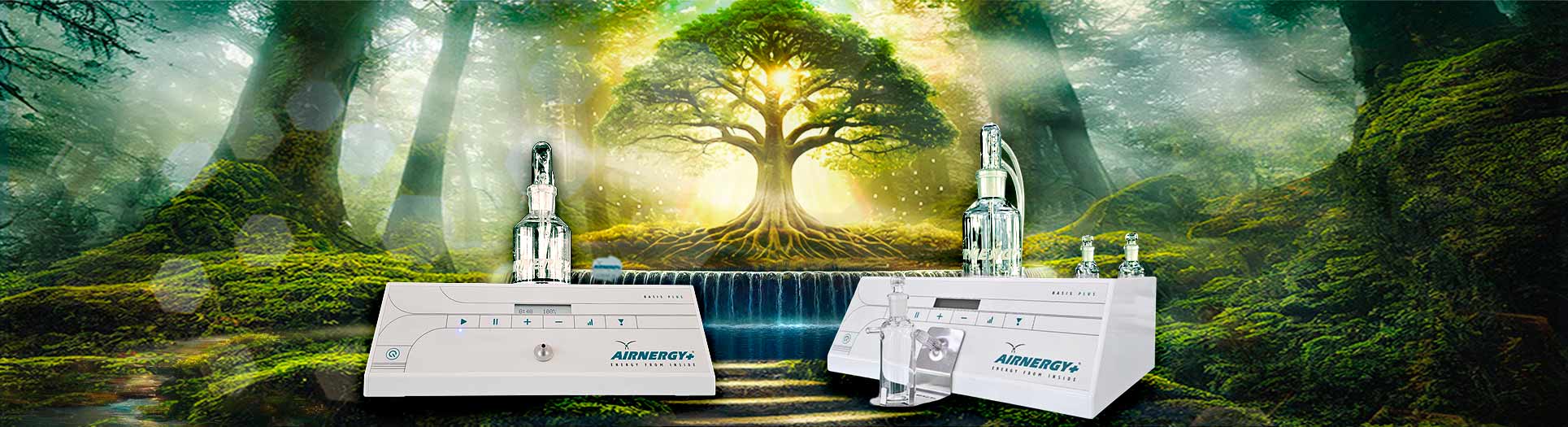 BASIS PLUS, Zellatmung, Selbstheilung, Regeneration, Atmen