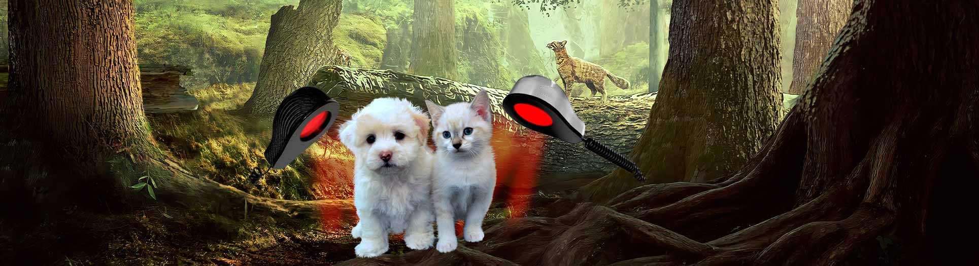 Vet-Stream, Natur pur für Tiere, Zellatmung, Selbstheilung, Regeneration, Atmen