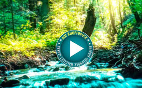 Selbstheilung, Regeneration, Atmen